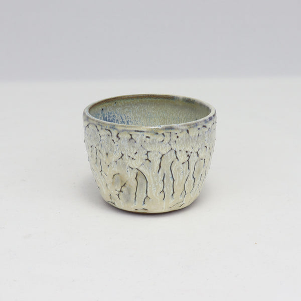 2.5 Ounce Winter Sipper (T5)