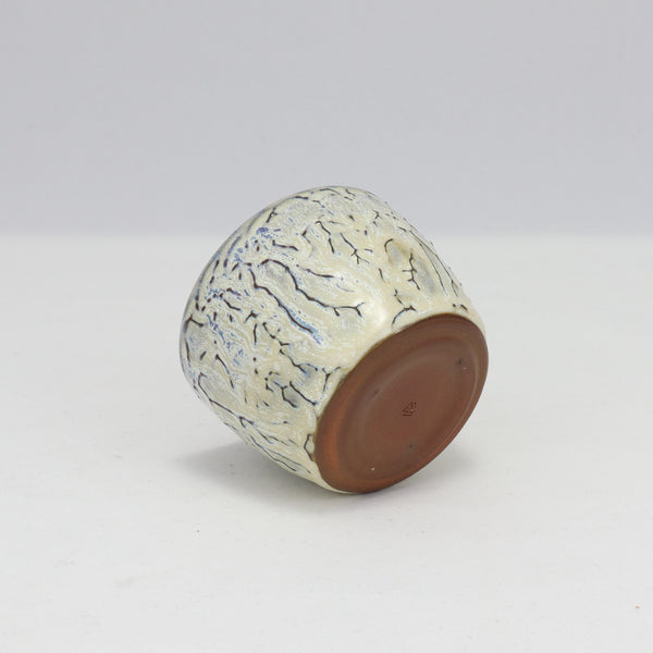 2.5 Ounce Winter Sipper (T5)