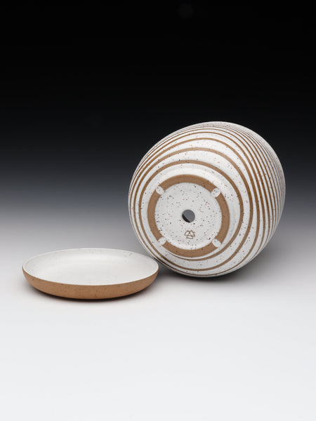 Wavy Planter [5.5in / 14cm Tall]